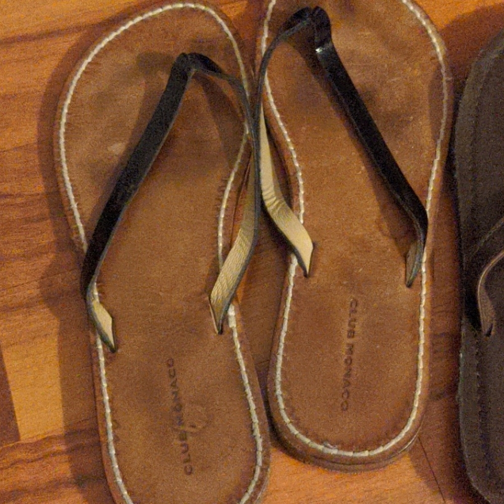 Club Monaco Flip Flops